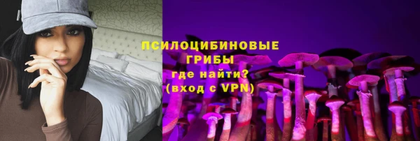 ПСИЛОЦИБИНОВЫЕ ГРИБЫ Белоозёрский