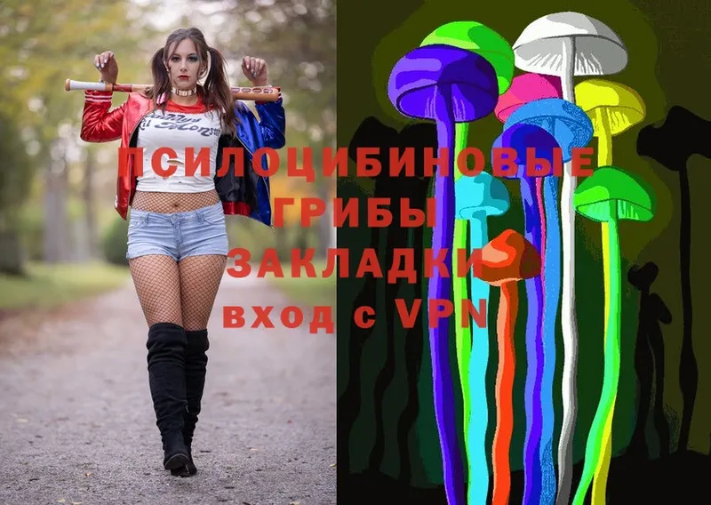 нарко площадка как зайти  наркошоп  Минусинск  Галлюциногенные грибы Cubensis 